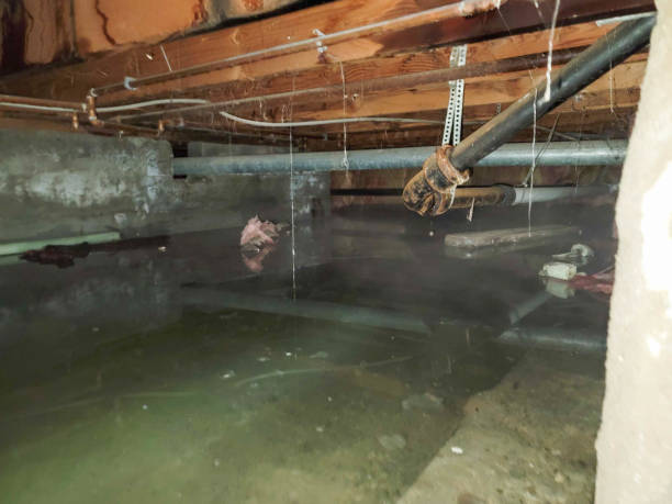 Best Local water damage restoration  in Talent, OR