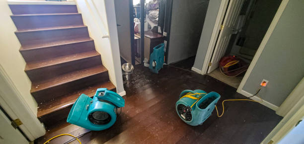 Best Water damage cleanup near me  in Talent, OR