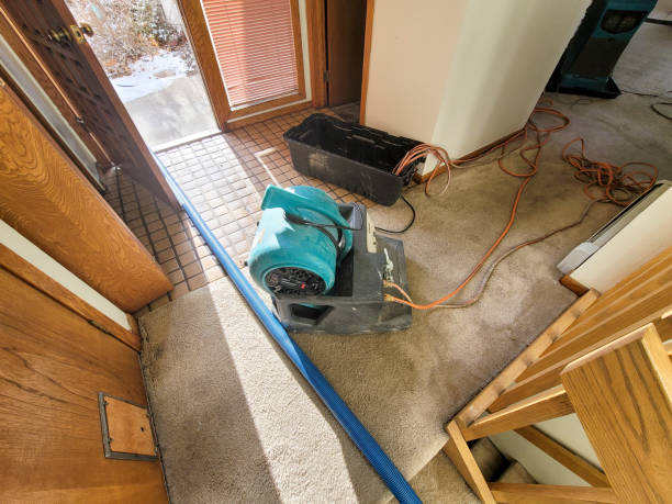 Best Flood damage cleanup  in Talent, OR
